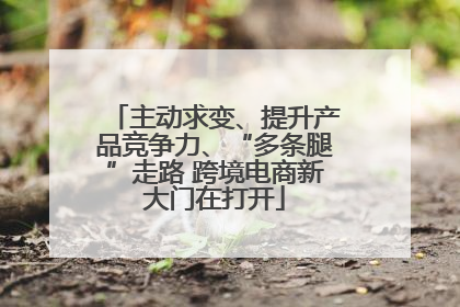 主动求变、提升产品竞争力、“多条腿”走路 跨境电商新大门在打开