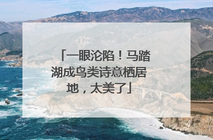 一眼沦陷！马踏湖成鸟类诗意栖居地，太美了