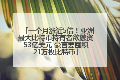 一个月涨近5倍！亚洲最大比特币持有者欲融资53亿美元 豪言要囤积21万枚比特币
