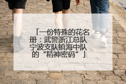 一份特殊的花名册：武警浙江总队宁波支队镇海中队的“精神密码”