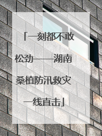 一刻都不敢松劲——湖南桑植防汛救灾一线直击