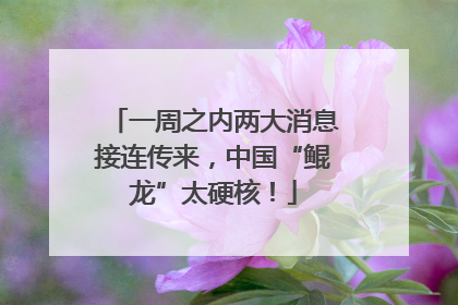 一周之内两大消息接连传来，中国“鲲龙”太硬核！