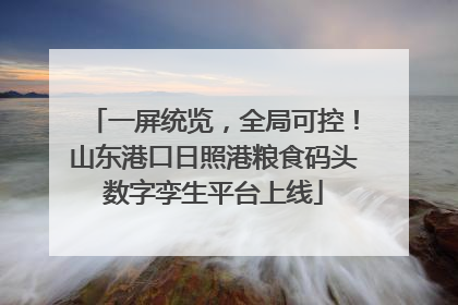 一屏统览，全局可控！山东港口日照港粮食码头数字孪生平台上线