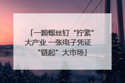 一颗螺丝钉“拧紧”大产业 一张电子凭证“链起”大市场