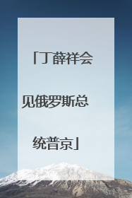 丁薛祥会见俄罗斯总统普京
