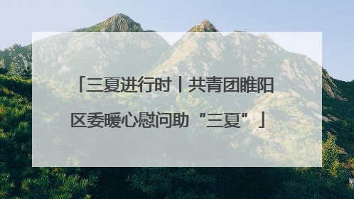 三夏进行时丨共青团睢阳区委暖心慰问助“三夏”