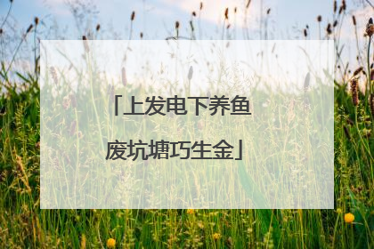 上发电下养鱼 废坑塘巧生金