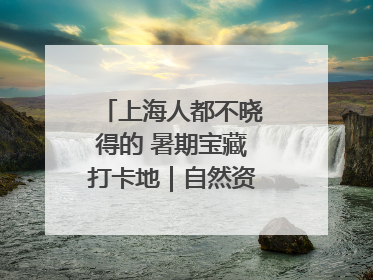 上海人都不晓得的 暑期宝藏打卡地｜自然资源探馆系列②