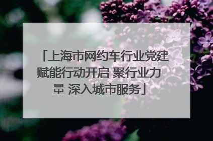 上海市网约车行业党建赋能行动开启 聚行业力量 深入城市服务
