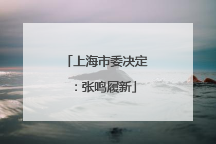 上海市委决定：张鸣履新