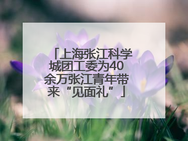 上海张江科学城团工委为40余万张江青年带来“见面礼”