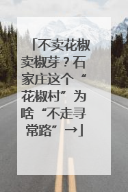 不卖花椒卖椒芽？石家庄这个“花椒村”为啥“不走寻常路”→