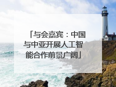 与会嘉宾：中国与中亚开展人工智能合作前景广阔