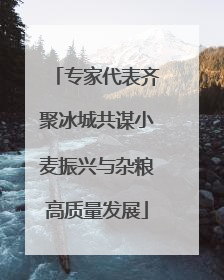 专家代表齐聚冰城共谋小麦振兴与杂粮高质量发展