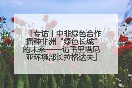 专访丨中非绿色合作播种非洲“绿色长城”的未来——访毛里塔尼亚环境部长拉格达夫