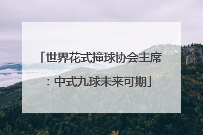 世界花式撞球协会主席：中式九球未来可期