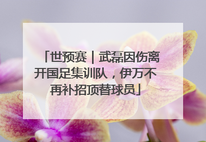 世预赛｜武磊因伤离开国足集训队，伊万不再补招顶替球员