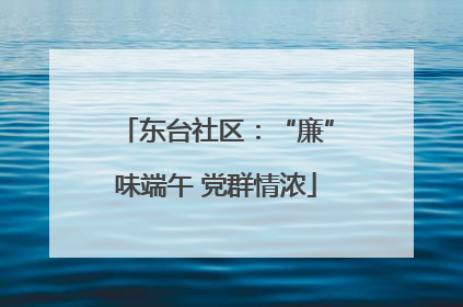 东台社区：“廉”味端午 党群情浓