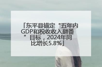 东平县锚定“五年内GDP和税收收入翻番”目标，2024年同比增长5.8%