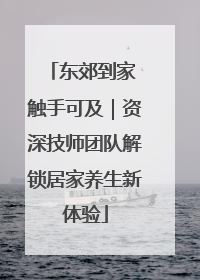 东郊到家 触手可及｜资深技师团队解锁居家养生新体验