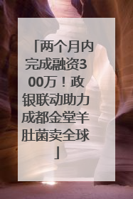 两个月内完成融资300万！政银联动助力成都金堂羊肚菌卖全球