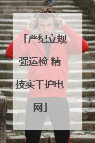 严纪立规强运检 精技实干护电网
