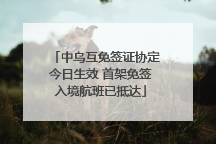 中乌互免签证协定今日生效 首架免签入境航班已抵达