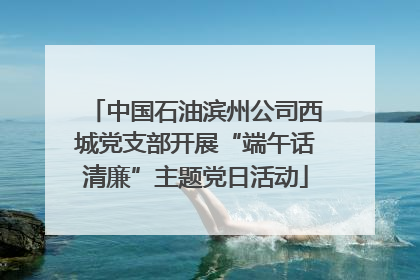 中国石油滨州公司西城党支部开展“端午话清廉”主题党日活动