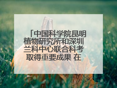 中国科学院昆明植物研究所和深圳兰科中心联合科考取得重要成果 在神农架发现两种“国保”级兰花