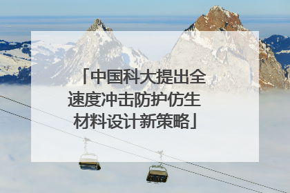 中国科大提出全速度冲击防护仿生材料设计新策略
