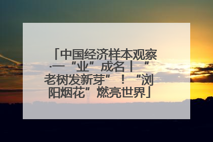 中国经济样本观察·一“业”成名丨“老树发新芽”！“浏阳烟花”燃亮世界