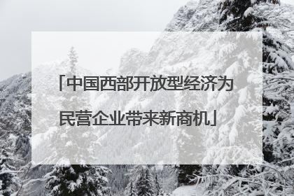 中国西部开放型经济为民营企业带来新商机
