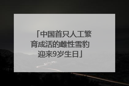 中国首只人工繁育成活的雌性雪豹迎来9岁生日
