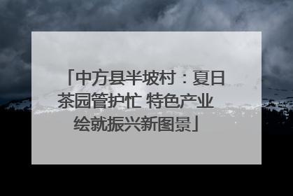 中方县半坡村：夏日茶园管护忙 特色产业绘就振兴新图景