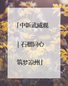 中新武威观｜石榴同心 筑梦凉州