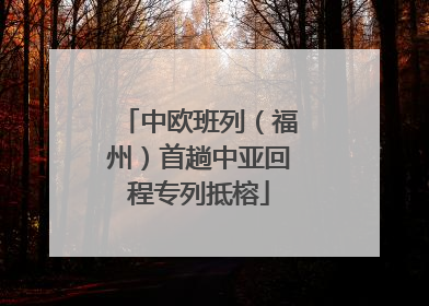 中欧班列（福州）首趟中亚回程专列抵榕