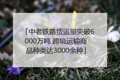 中老铁路货运量突破6000万吨 跨境运输商品种类达3000余种