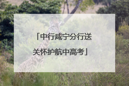 中行咸宁分行送关怀护航中高考