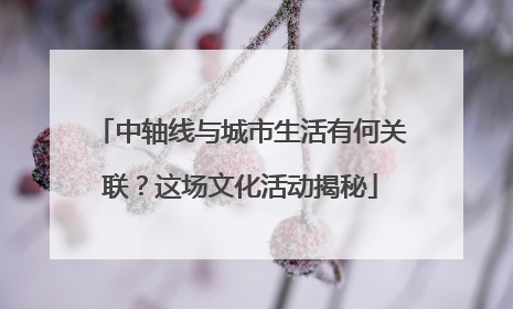 中轴线与城市生活有何关联？这场文化活动揭秘