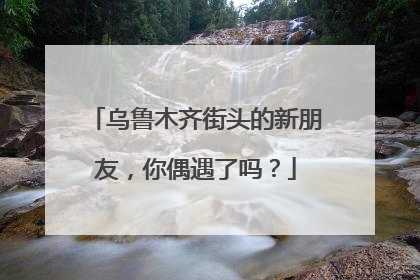 乌鲁木齐街头的新朋友，你偶遇了吗？