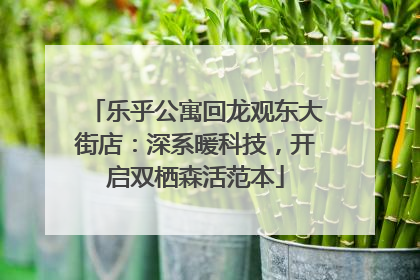 乐乎公寓回龙观东大街店：深系暖科技，开启双栖森活范本