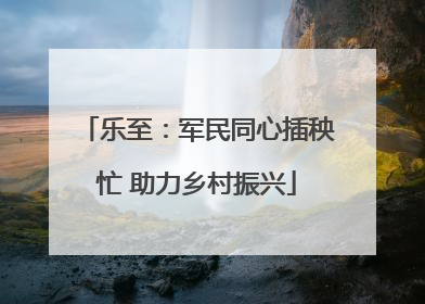 乐至：军民同心插秧忙 助力乡村振兴