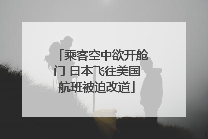 乘客空中欲开舱门 日本飞往美国航班被迫改道