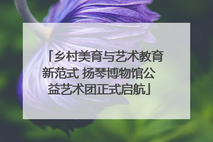乡村美育与艺术教育新范式 扬琴博物馆公益艺术团正式启航