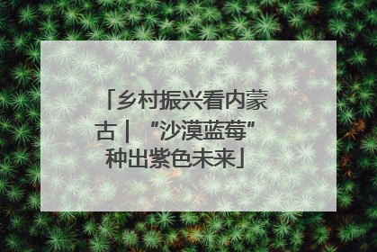 乡村振兴看内蒙古｜“沙漠蓝莓”种出紫色未来