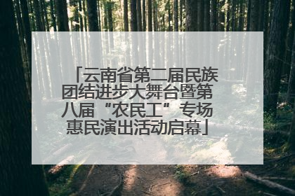 云南省第二届民族团结进步大舞台暨第八届“农民工”专场惠民演出活动启幕