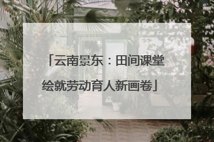 云南景东：田间课堂绘就劳动育人新画卷