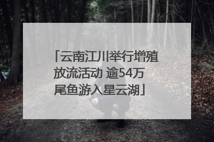 云南江川举行增殖放流活动 逾54万尾鱼游入星云湖