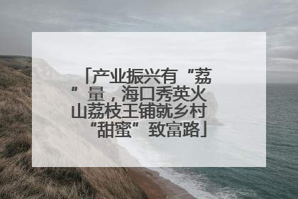 产业振兴有“荔”量，海口秀英火山荔枝王铺就乡村“甜蜜”致富路