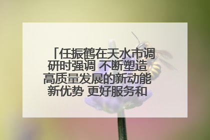 任振鹤在天水市调研时强调 不断塑造高质量发展的新动能新优势 更好服务和融入以国内大循环为主体的新发展格局